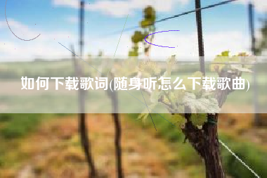 如何下载歌词(随身听怎么下载歌曲)