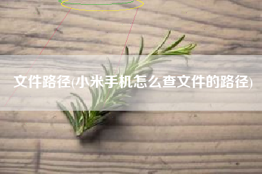 文件路径(小米手机怎么查文件的路径)
