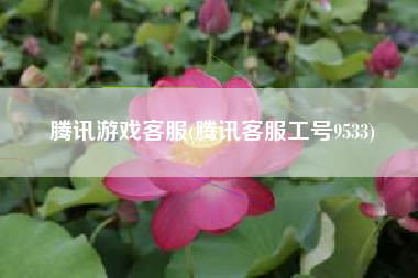 腾讯游戏客服(腾讯客服工号9533)