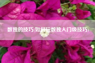 数独的技巧(如何玩数独入门级技巧)