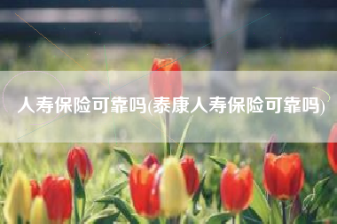 人寿保险可靠吗(泰康人寿保险可靠吗)