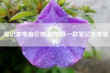笔记本电脑价格(能推荐一款笔记本电脑吗)