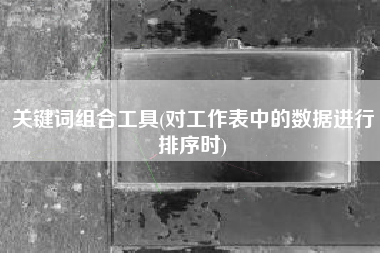 关键词组合工具(对工作表中的数据进行排序时)