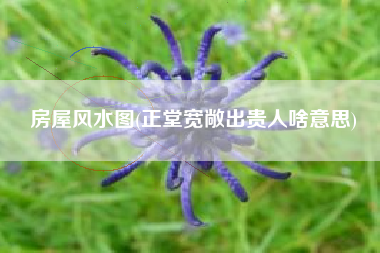 房屋风水图(正堂宽敞出贵人啥意思)