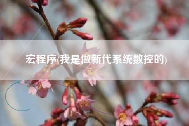 宏程序(我是做新代系统数控的)