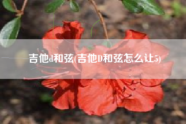 吉他d和弦(吉他D和弦怎么让5)