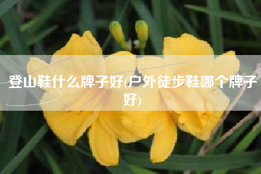 登山鞋什么牌子好(户外徒步鞋哪个牌子好)