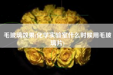毛玻璃效果(化学实验室什么时候用毛玻璃片)