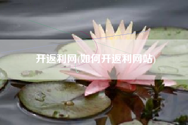 开返利网(如何开返利网站)