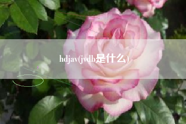 hdjav(jvdb是什么)