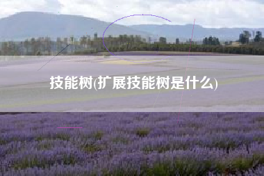 技能树(扩展技能树是什么)