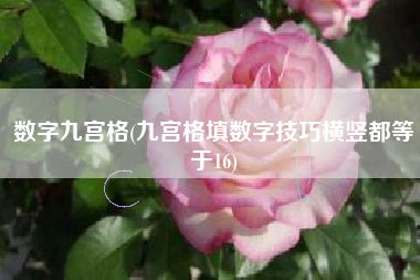 数字九宫格(九宫格填数字技巧横竖都等于16)