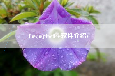 flowjo(pipeflow软件介绍)