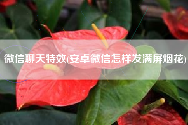 微信聊天特效(安卓微信怎样发满屏烟花)