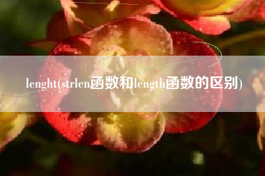 lenght(strlen函数和length函数的区别)