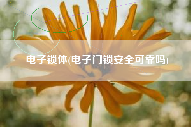 电子锁体(电子门锁安全可靠吗)