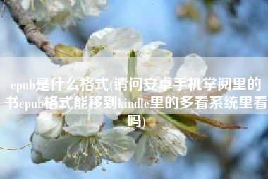详细阅读:epub是什么格式(请问安卓手机掌阅里的书epub格式能移到kindle里的多看系统里看吗) epub是什么格式(请问安卓手机掌阅里的书epub格式能移到kindle里的多看系统里看吗)