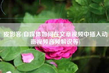 皮影客(自媒体如何在文章视频中插入动画视频音频解说等)