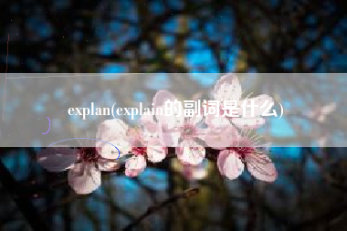 explan(explain的副词是什么)