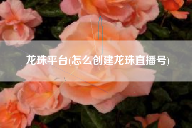 龙珠平台(怎么创建龙珠直播号)