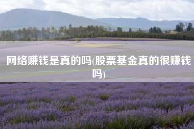 网络赚钱是真的吗(股票基金真的很赚钱吗)