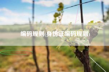 编码规则(身份证编码规则)