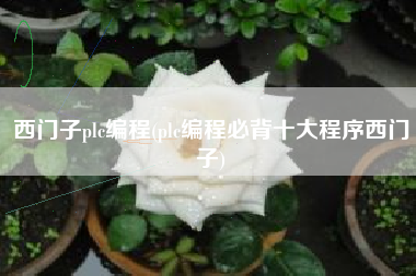 西门子plc编程(plc编程必背十大程序西门子)