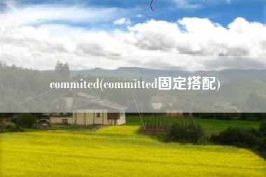 commited(committed固定搭配)