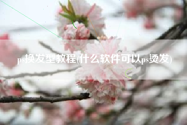 ps换发型教程(什么软件可以ps烫发)