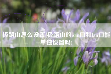 极路由怎么设置(极路由的wan口和lan口能单独设置吗)