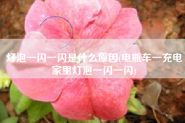 灯泡一闪一闪是什么原因(电瓶车一充电家里灯泡一闪一闪)