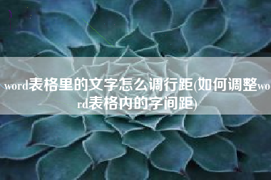 word表格里的文字怎么调行距(如何调整word表格内的字间距)