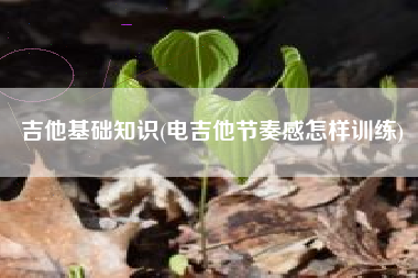 吉他基础知识(电吉他节奏感怎样训练)