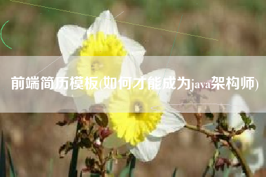 前端简历模板(如何才能成为java架构师)