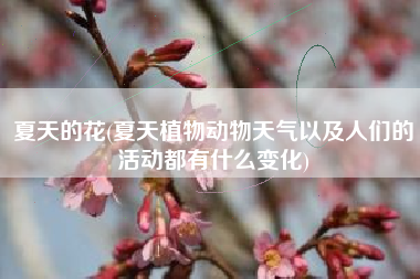 夏天的花(夏天植物动物天气以及人们的活动都有什么变化)