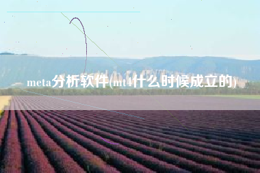 meta分析软件(mt4什么时候成立的)