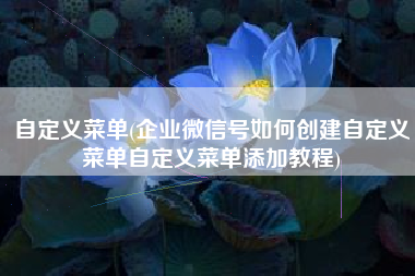 自定义菜单(企业微信号如何创建自定义菜单自定义菜单添加教程)