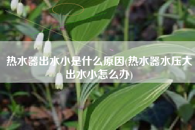 热水器出水小是什么原因(热水器水压大出水小怎么办)