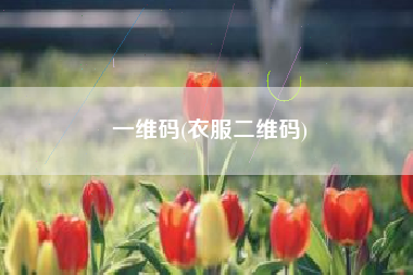一维码(衣服二维码)