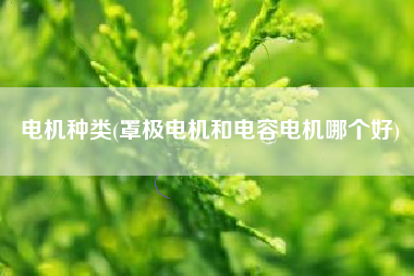 电机种类(罩极电机和电容电机哪个好)