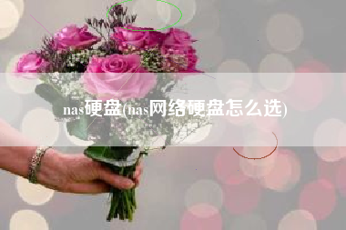 nas硬盘(nas网络硬盘怎么选)
