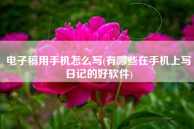 电子稿用手机怎么写(有哪些在手机上写日记的好软件)