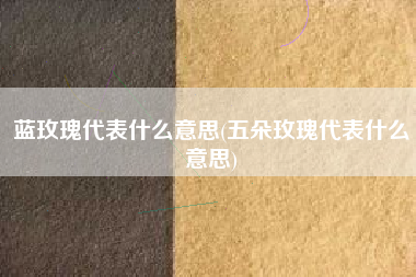 蓝玫瑰代表什么意思(五朵玫瑰代表什么意思)