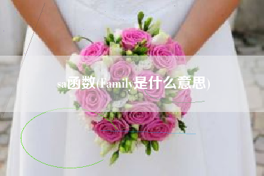 sa函数(Family是什么意思)