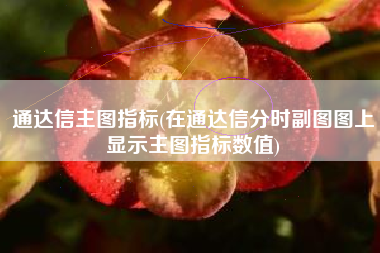 通达信主图指标(在通达信分时副图图上显示主图指标数值)