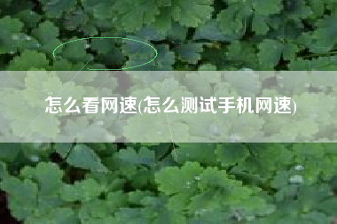 怎么看网速(怎么测试手机网速)