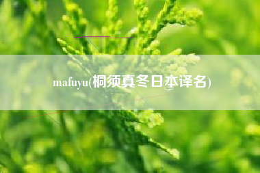 mafuyu(桐须真冬日本译名)