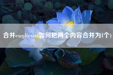 合并excel(excel如何把两个内容合并为1个)