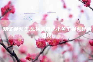 测试视频(怎么检测自己小黄车视频是否违规)