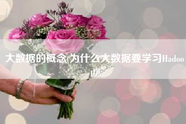 大数据的概念(为什么大数据要学习Hadoop)